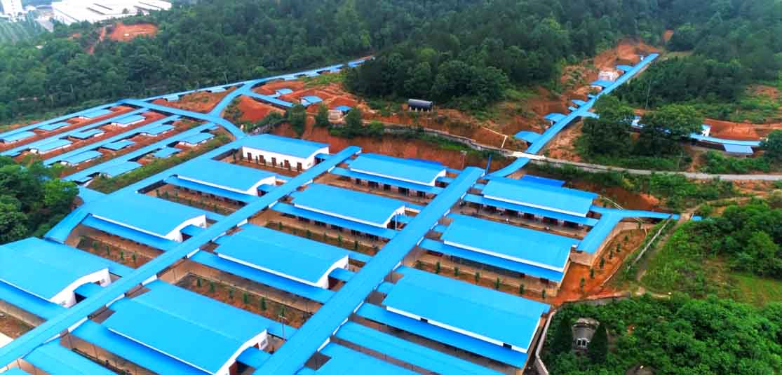 പ്രയോജനങ്ങൾ 图片